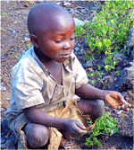 Haiti Orphan